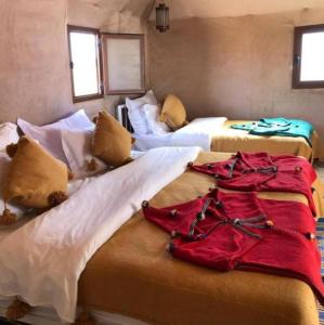 Stunning Luxury Camp