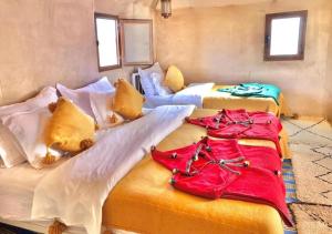 Stunning Luxury Camp