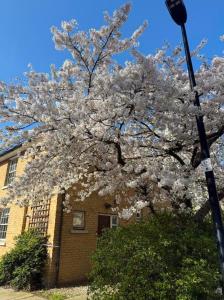 Modern 2BR House Near Excel Fast WiFi