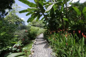 Casa Rio Tortuga - Colibri