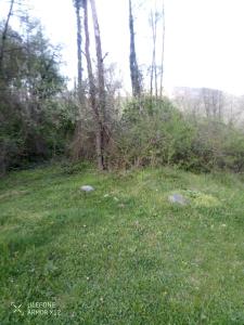 Apartment Joana on Albuferia