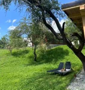 Biutiful Bungalow