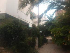 Coqueto Apartment 100m from Levante Beach