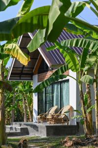 True Nature Chiang Mai - Yoga & Meditation Homestay Retreat