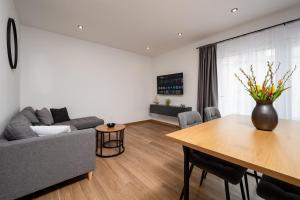 Modern apartman in old town