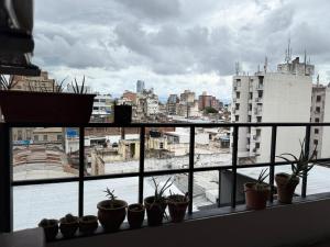 Alquiler de 1 dormitorio en zona centro