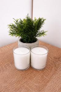 Cozy Studio in Surčin 2 Beds Near Airport