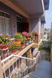 PineNest Homestay Shillong