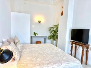 Calamari Homes - Centenario 406 - Walled City