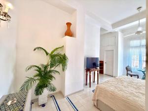 Calamari Homes - Centenario 406 - Walled City