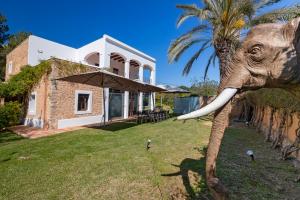 Villa Near Ibiza Town sleeps 1214
