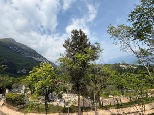 Dream Gardasee Chalet con giardino mediterraneo