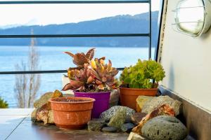 Moderno y Acogedor Depto con Deck & Vista al Lago