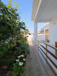 AleMar House