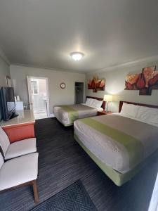 Tulip Motel