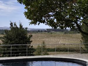 Cal Morera, Pau entre vinyes