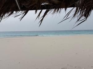 Casabianca - North Coast - 5 bedroom, Garden, Sea View Villa