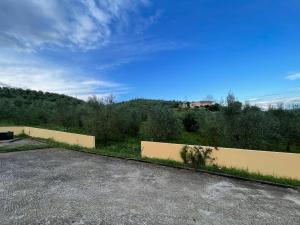 Solemar4