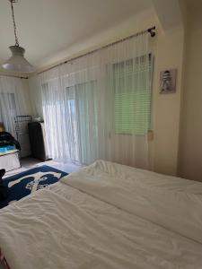 Paradise Coast House
