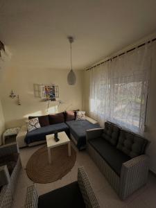 Paradise Coast House