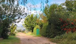 Cabaña Puntana