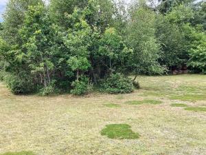 4 star holiday home in Hals