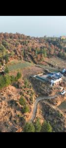 Sukoon homestay