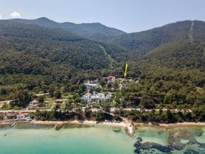 green & blue villa