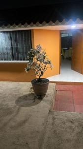 Casa Sol, your escape in Xalapa