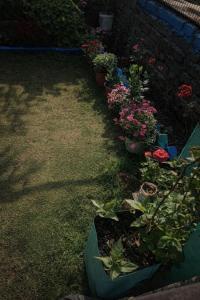 HOTEL BRAHMAKAMAL & RESTAURANt