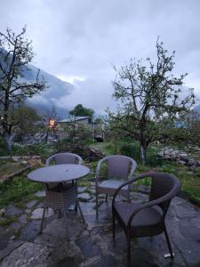 Hotter Potter Stays Manali