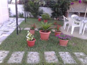 Guesthouse Golden Rose