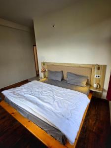 Hi Strangers Stay Manali