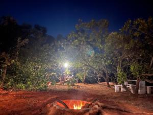 Junction Box Forest Hostel