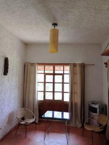 Árbol Paraíso y Terraza Mezquite