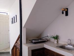 Árbol Paraíso y Terraza Mezquite