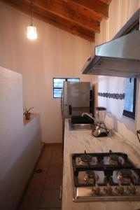 Árbol Paraíso y Terraza Mezquite