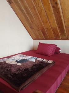 Cabin Wetan Kali Dieng
