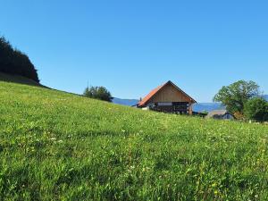 Šipk -FREE-PARKING-BREAKFAST-TERRACE