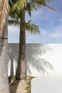 Coastal Cove