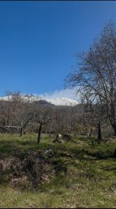Case Monte Arso -Etna sud est-