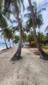 San Blas island cabins