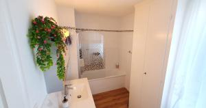 2-3 Zimmer Apartments zentral ruhig mit Flair im Gertrud Schlössli