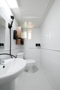 건대스테이역4분 지하철2,7호선,성수한정거장,강남,홍대,서울숲 무료짐보관