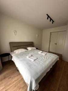 Stay in Tbilisi