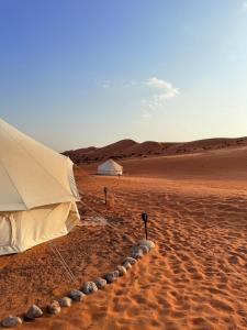 Night Stars Camp