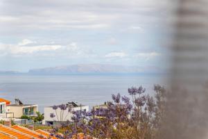 Sapphire Scape Assomada Madeira by GRM