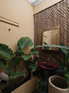 The clay house, your private house