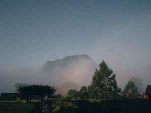 The CAMPIAN