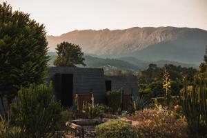 The CAMPIAN